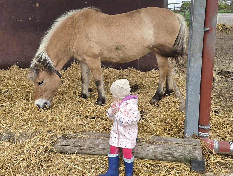 Kind steht vor em Pony