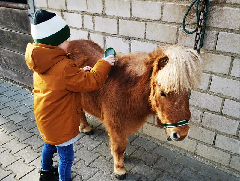 Pony und Kind